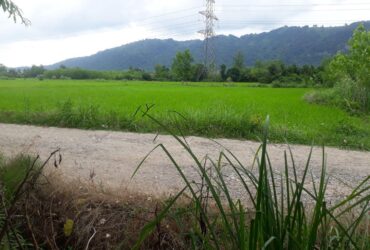 ویلای نیمه ساز به قیمت کاسبی