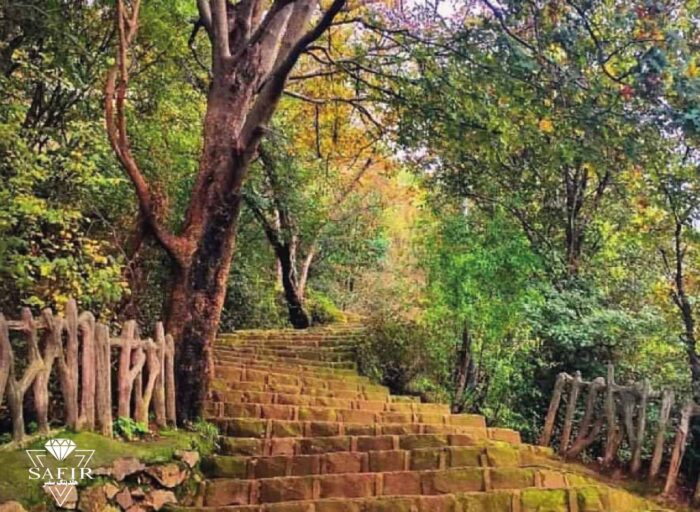 بام سبز لاهیجان 