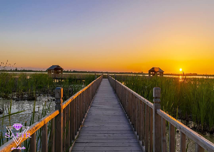 معرفی تالاب امیر کلایه در لاهیجان